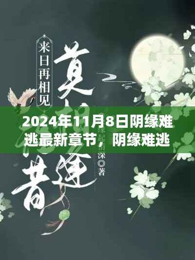 阴缘难逃,爱在寻常日子里的温暖邂逅最新章节已更新至2024年11月8日