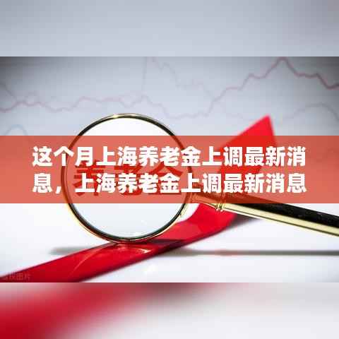 上海养老金上调最新消息详解,轻松了解与操作指南