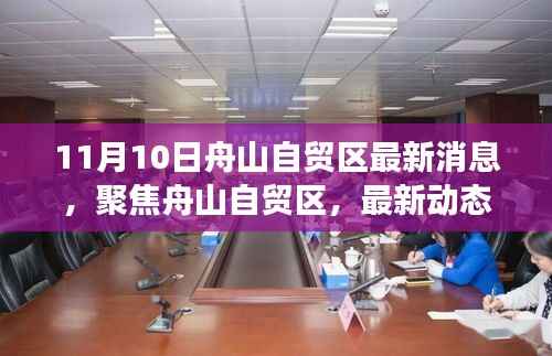 11月10日舟山自贸区最新动态解读与深度探讨