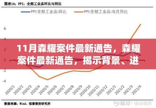 森耀案件最新进展及影响揭秘,背景通告全解析