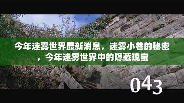 揭秘迷雾世界,迷雾小巷的秘密与今年隐藏瑰宝新发现