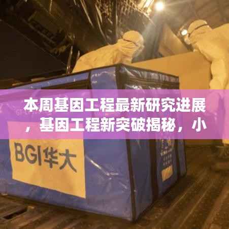 基因工程新突破揭秘,小巷深处的未来科技实验室本周最新进展报道!