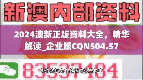 2024澳新正版资料大全，精华解读_企业版CQN504.57