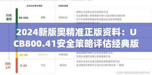 2024新版奥精准正版资料:UCB800.41安全策略评估经典版