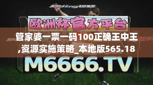 管家婆一票一码100正确王中王,资源实施策略_本地版565.18