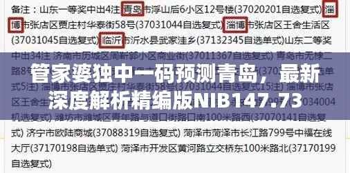 管家婆独中一码预测青岛,最新深度解析精编版NIB147.73
