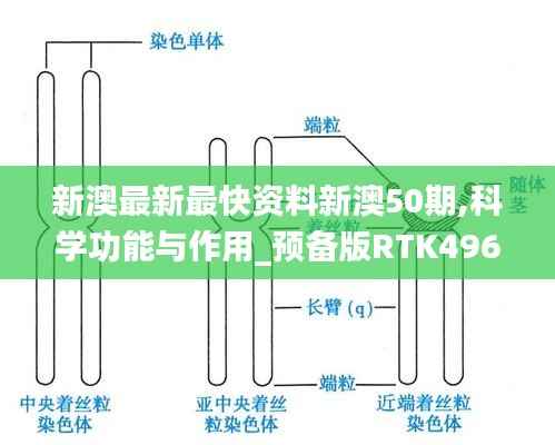 新澳最新最快资料新澳50期,科学功能与作用_预备版RTK496.23