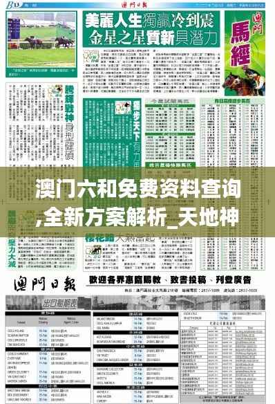 澳门六和免费资料查询,全新方案解析_天地神衹ZGL206.56