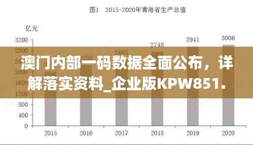 澳门内部一码数据全面公布,详解落实资料_企业版KPW851.07