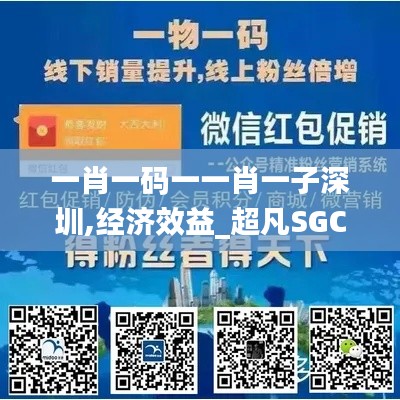 一肖一码一一肖一子深圳,经济效益_超凡SGC251.61
