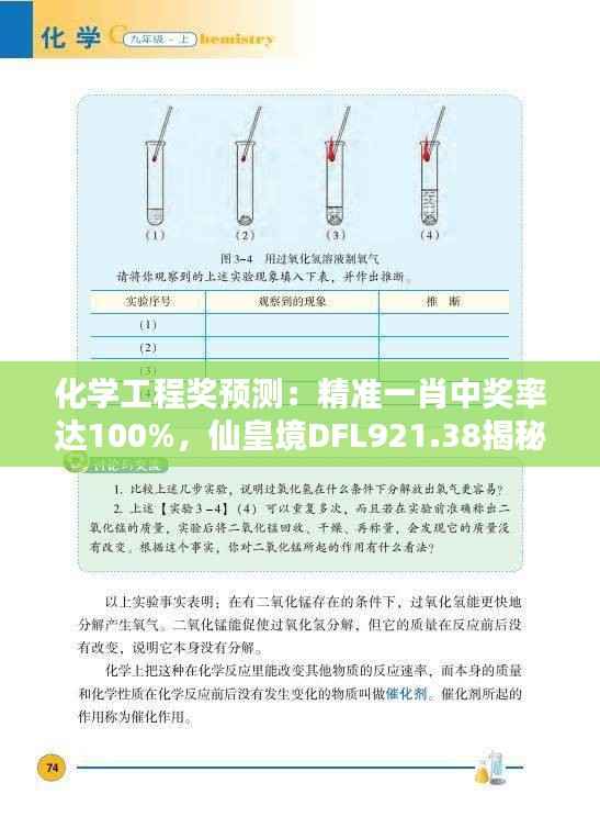 化学工程奖预测:精准一肖中奖率达100%,仙皇境DFL921.38揭秘