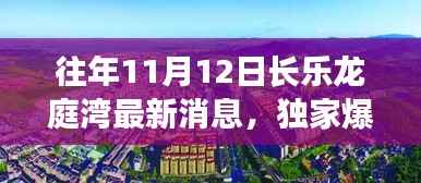 独家揭秘,往年11月12日长乐龙庭湾最新动态与细节曝光!