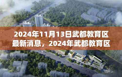 武都教育区革新与突破,引领未来教育潮流的最新动态(2024年11月)