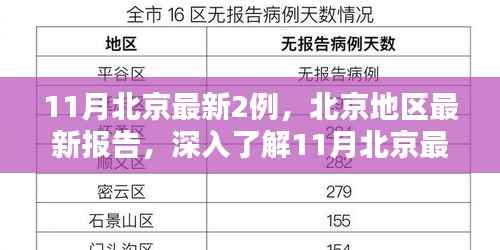 北京地区最新报告,深入了解11月新增两例的产品特性与体验