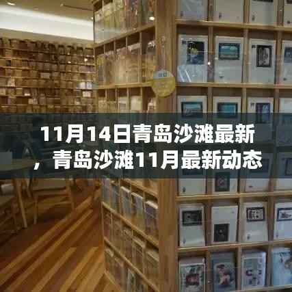 探寻秋日青岛沙滩别样风情,最新动态与沙滩风情体验(11月篇)