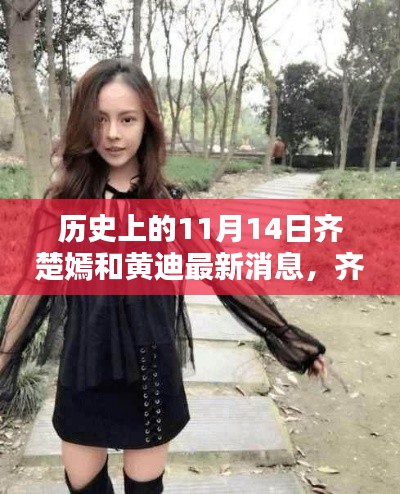 历史上的11月14日,齐楚嫣与黄迪的最新消息及其深远影响