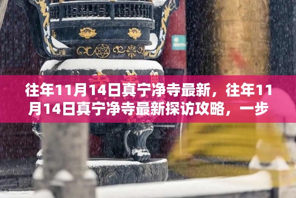 往年11月14日真宁净寺探访攻略,领略古寺魅力,最新指南全解析