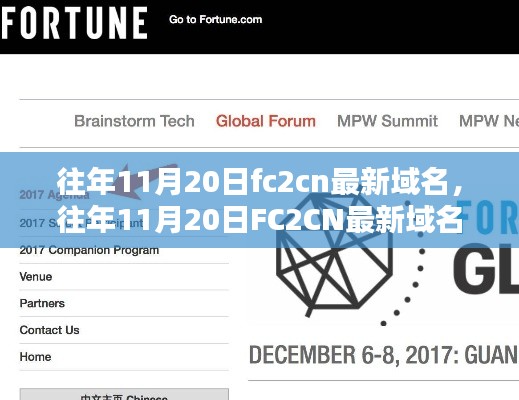 往年11月20日FC2CN域名更新,解析与观点阐述