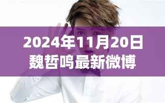 魏哲鸣最新微博动态，揭秘新照亮相背后的故事与用户体验分析