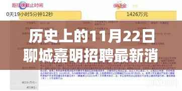 历史上的11月22日聊城嘉明招聘最新消息深度解析及观点阐述