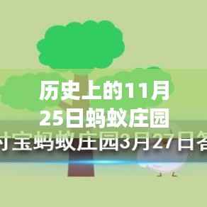 蚂蚁庄园11月25日历史答案揭秘,温馨故事中的寻找答案之旅