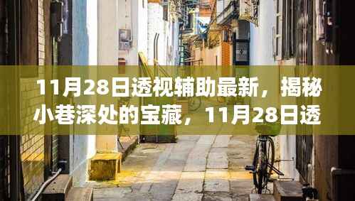 11月28日透视辅助之旅，探索小巷深处的宝藏与独特特色小店