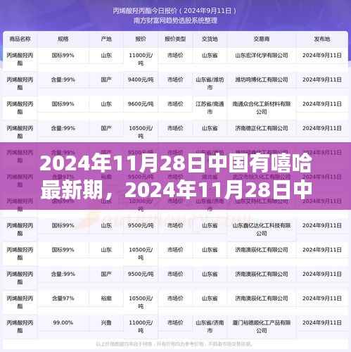 2024年11月28日中国有嘻哈最新期,观众参与指南