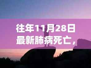 往年11月28日最新肺病死亡，探索自然美景之旅，远离尘嚣，寻找内心的安宁——一场肺病的意外启示