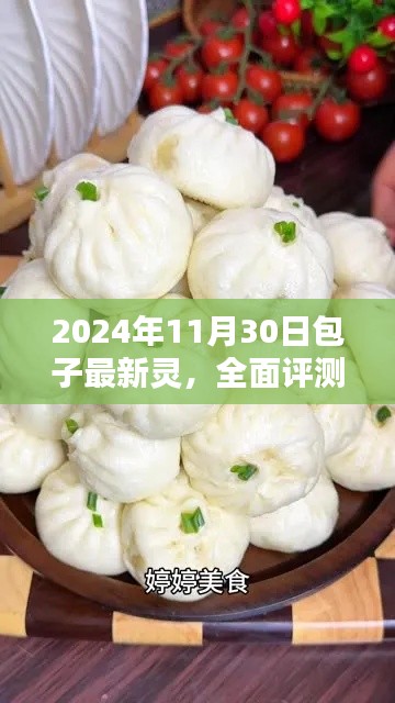 2024年11月30日包子最新灵产品全面评测与介绍