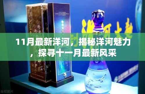 揭秘洋河魅力,十一月最新风采展示