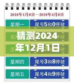 上海未来限行猜想,高架畅想曲与暖心故事,展望2024年12月的新规定