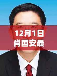 肖国安职务变动深度解读,最新职务探析与各方观点汇总