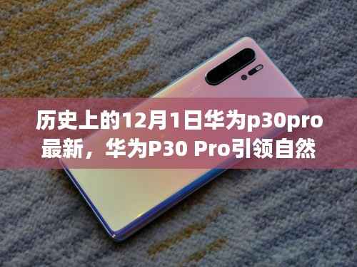 华为P30 Pro引领自然探索之旅,一场历史与科技的奇妙旅程(最新资讯)