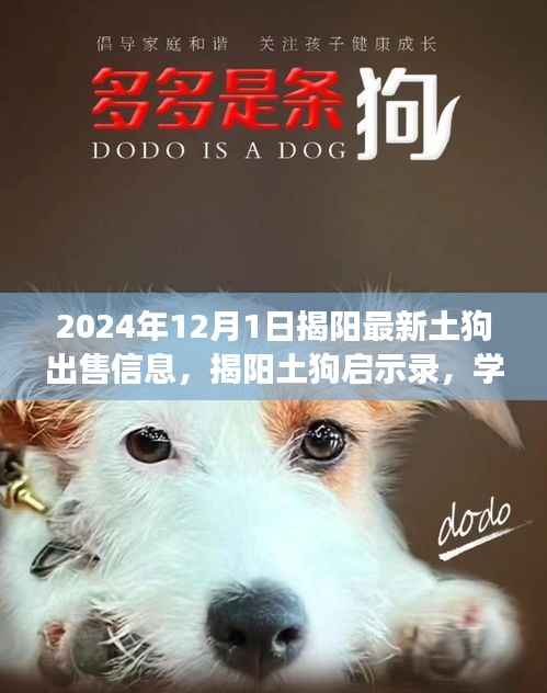 揭阳土狗最新出售信息,学习力量与自信成就之路的启示录