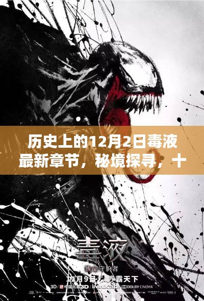 秘境探寻,毒液最新章节与独特小店的奇妙邂逅在十二月二日