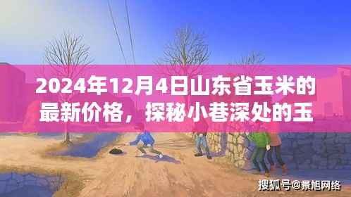 山东省玉米秘境探秘，最新价格与隐藏特色小店的奇妙邂逅