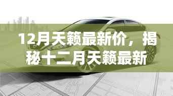 揭秘十二月天籁最新价格,背景、影响与地位全面解析