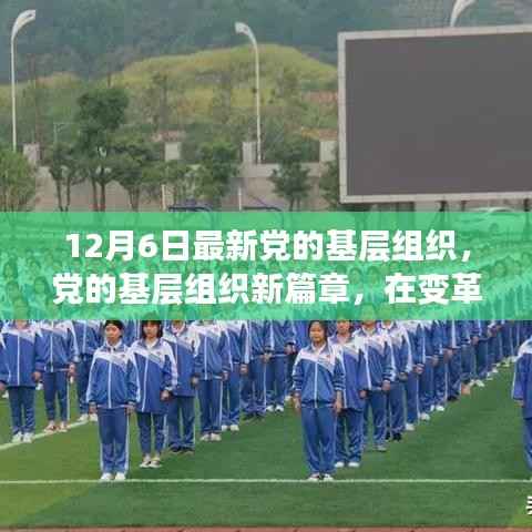 变革之光,党的基层组织新篇章,12月6日最新发展