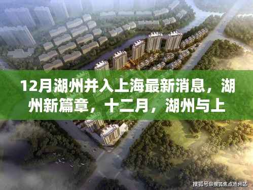 湖州与上海的联动日常,十二月新篇章,温暖联动最新消息