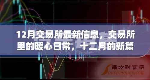 交易所暖心日常,十二月新篇章开启