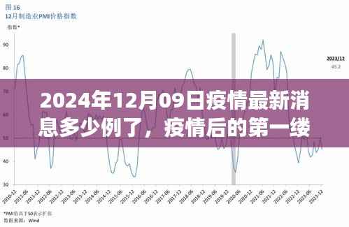 疫情最新消息下的自然美景之旅,启程寻找内心的宁静港湾(2024年12月09日)