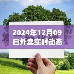 全面解析,小米外卖实时动态系统——未来外卖新宠的秘籍揭晓