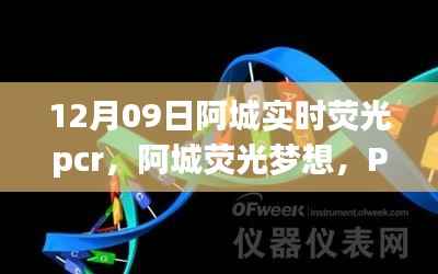 阿城荧光梦想,PCR实验中的励志之旅,开启自信与成就之门