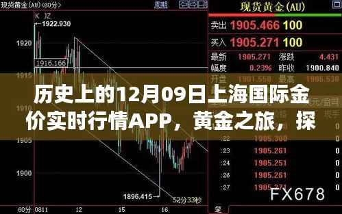 上海国际金价实时行情APP的黄金之旅,历史探索与自然美景的融合体验。