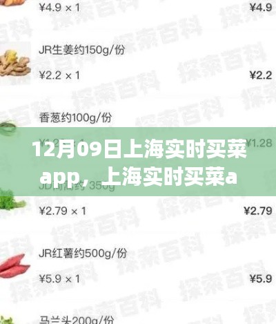 上海实时买菜app使用指南,从初学者到进阶用户的全方位指南(12月09日版)