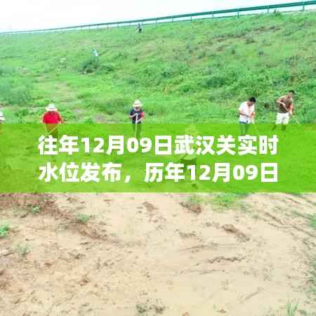 历年12月09日武汉关水位分析与长江水情洞察,洞察长江之滨的水位变化及趋势预测