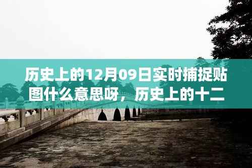历史上的十二月九日实时捕捉贴图背后的励志故事,见证学习变化的力量与自信诞生的时刻
