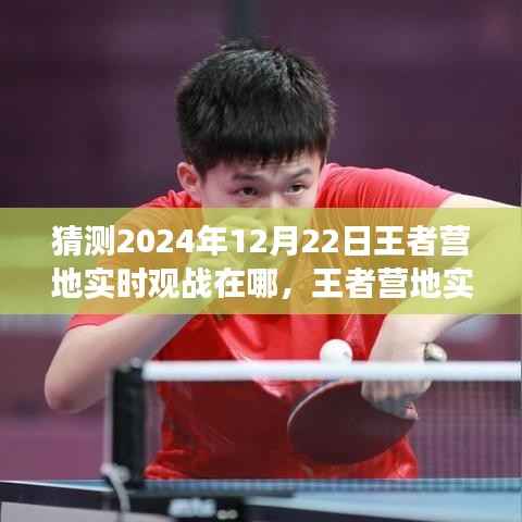 王者营地实时观战预测指南,体验与预测2024年王者营地观战功能的新动态位置揭晓!