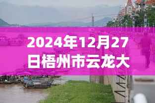 梧州市云龙大桥实时水位监测指南,以初学者和进阶用户视角看水位监测