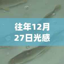 往年12月27日光感实时测量长度技术探讨及观点阐述